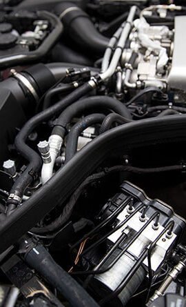 portfolio-12 portfolio-12