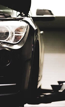 portfolio-7 portfolio-7